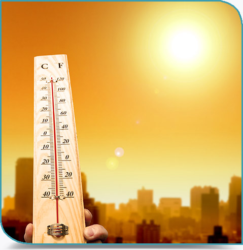 Canicule