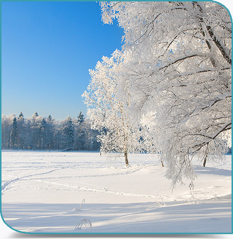 Grand froid