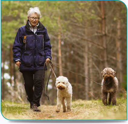 Promener le chien