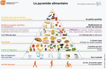 Pyramide alimentaire