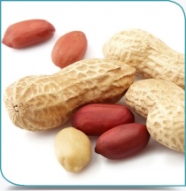 Les allergènes alimentaires