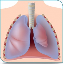 Les complications de l'asthme